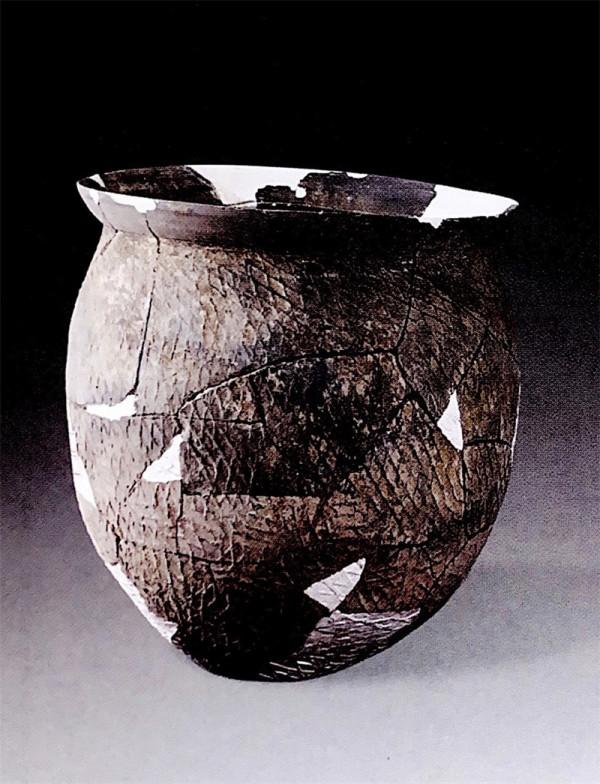 追尋夏的軌跡｜新密新砦遺址：夏朝開國都城，是它嗎？