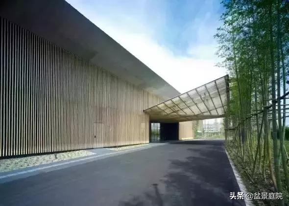 家有竹園，這才是極具風雅之事