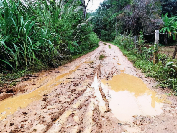 2014年，廣西一男孩靠吃野菜生存，母親卻因有苦衷未相認