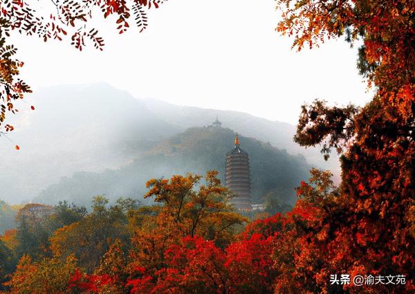 「走遍河山」印象北京09：八大處之謎