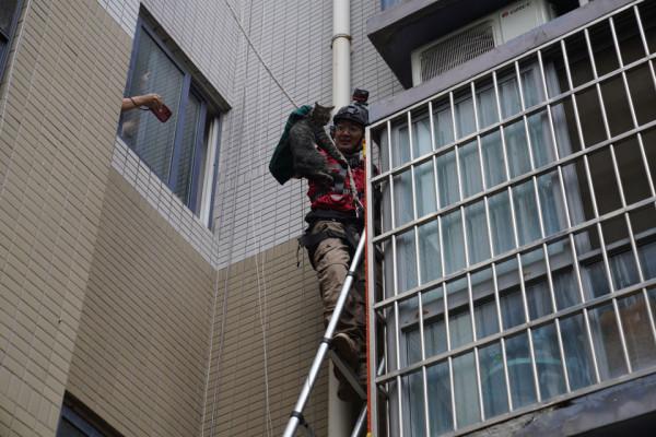 貓咪救援隊 貓咪救援隊