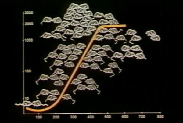 在人造“天堂”裡,老鼠560天后走向滅亡,這就是安逸的結局? 在人造“天堂”裡,老鼠560天后走向滅亡,這就是安逸的結局?