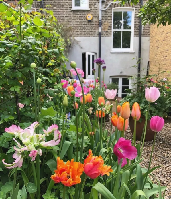 細節決定成敗,種花這件事你得知道 細節決定成敗,種花這件事你得知道