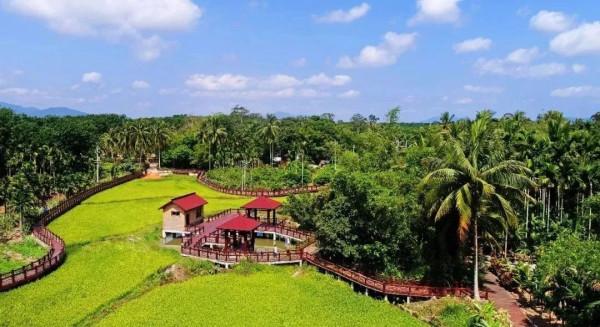 海南:共享農莊民宿可租賃給消費者,租期可達20年 海南:共享農莊民宿可租賃給消費者,租期可達20年