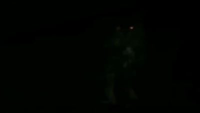 遼寧“大貓頭鷹”受傷被救,竟是國家保護動物!本名真不容易唸對 遼寧“大貓頭鷹”受傷被救,竟是國家保護動物!本名真不容易唸對