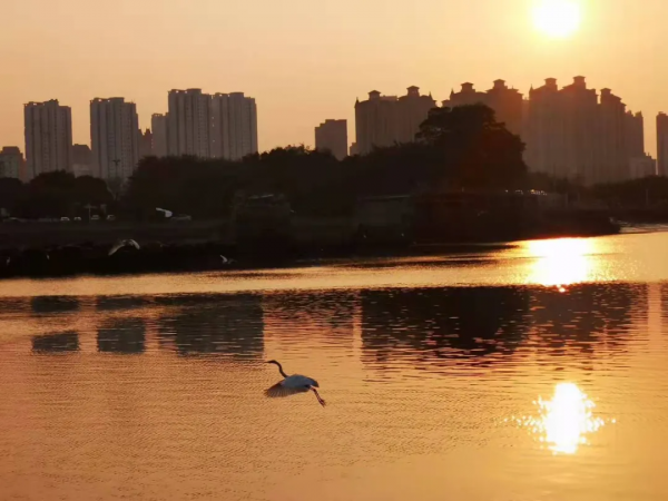 2022年，房價要跌？