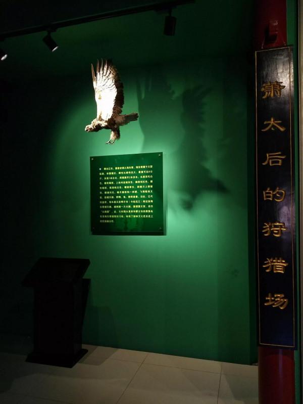 打卡北京通州博物館