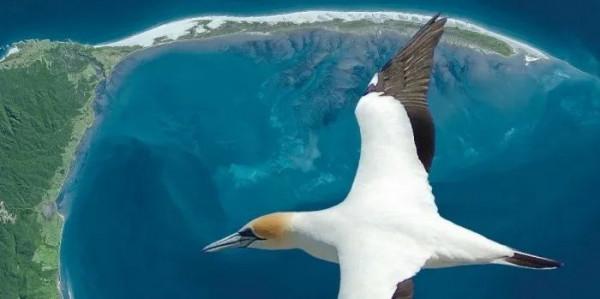 學地理&mdash;&mdash;海岸地貌冷知識