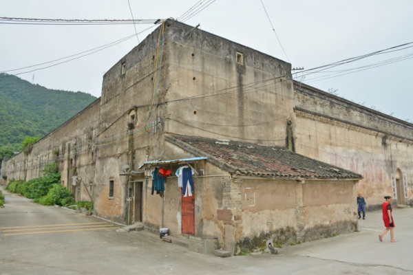 200多年曆史的客家圍屋,有兩個足球場大,卻被荒草掩蓋 200多年曆史的客家圍屋,有兩個足球場大,卻被荒草掩蓋