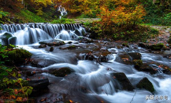 民間故事：異龜