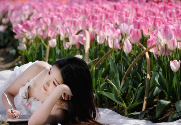 情侶園的鬱金香