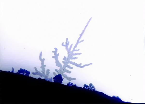 汽車電池新動態：下一代鋰金屬電池，離我們到底還有多遠？