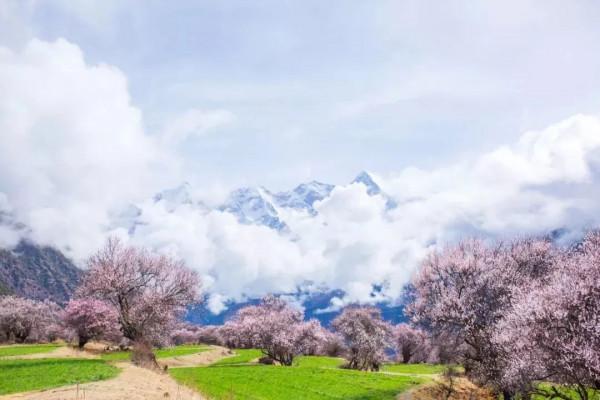 心力衰竭患者可以外出旅行嗎？來看看這些需要注意的點