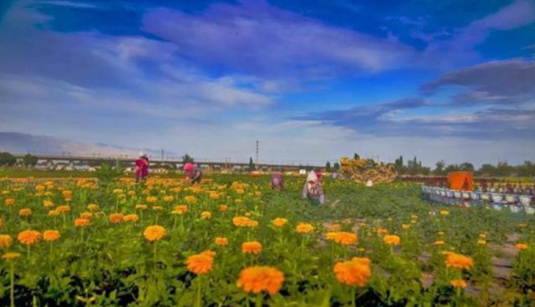 甘肅十大美麗鄉村，一個比一個美，看看你去過哪幾個？