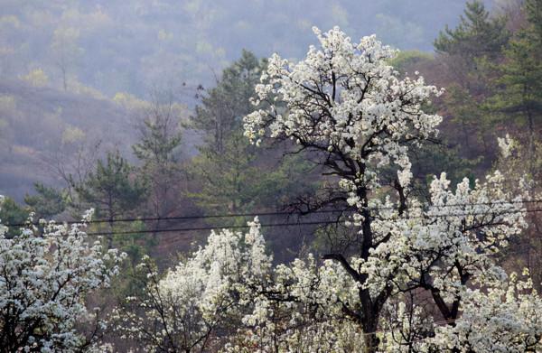 北京平谷深處一景區,天人合一的自然景觀,門票免費適合自駕 北京平谷深處一景區,天人合一的自然景觀,門票免費適合自駕