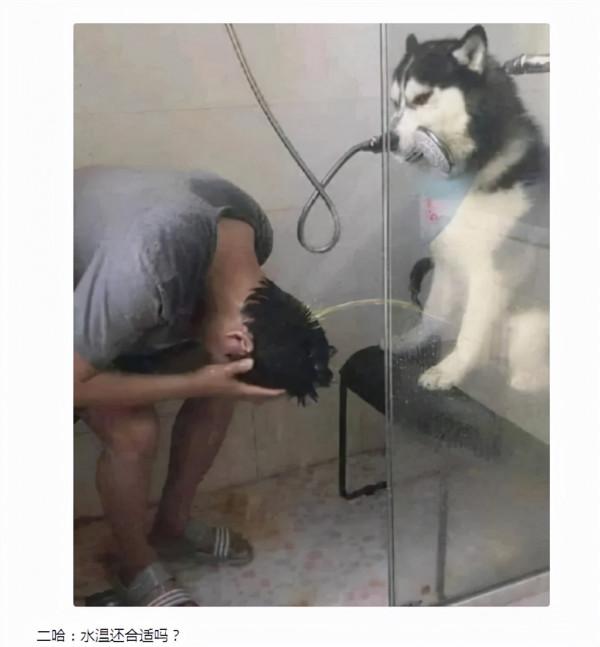 神回覆：羅翔這種專門講課的律師，真正打官司的水平怎麼樣？