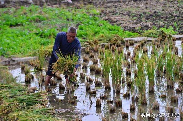 立冬日，《笠翁對韻》裡的冬篇有多難背