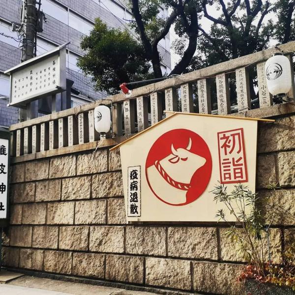 關於牛,全都是好看的 關於牛,全都是好看的