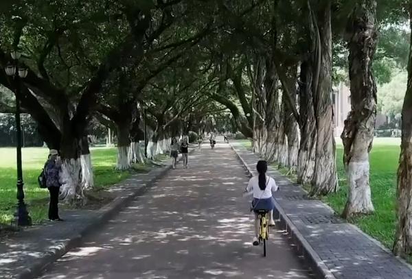 畢業才知曉,“省內就讀”VS“省外就讀”差距有多大,幸好沒選錯 畢業才知曉,“省內就讀”VS“省外就讀”差距有多大,幸好沒選錯