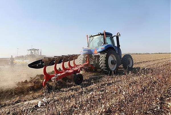 小麥每畝播種多少斤?3組資料可參考,5個方面決定20斤還是50斤 小麥每畝播種多少斤?3組資料可參考,5個方面決定20斤還是50斤