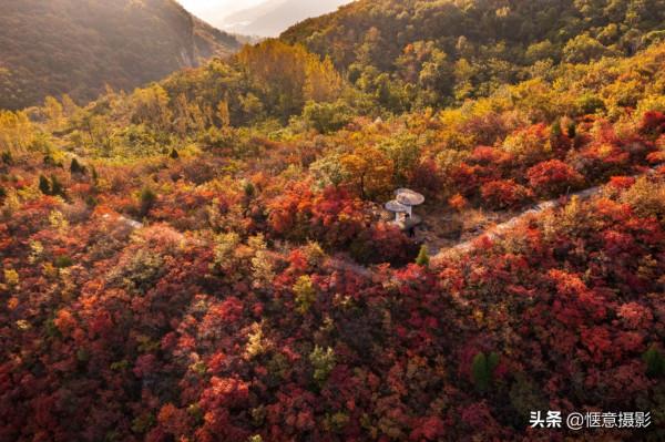 鄭州環翠峪,霜葉紅於二月花 鄭州環翠峪,霜葉紅於二月花