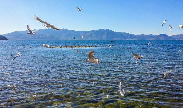 雲南的冬日也太美了吧!這6個地方的風景溫柔細膩,皆是歲月靜好 雲南的冬日也太美了吧!這6個地方的風景溫柔細膩,皆是歲月靜好