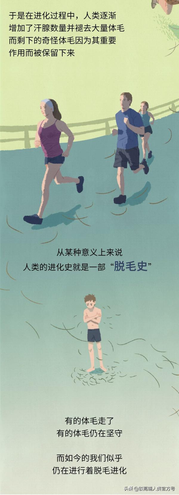 為什麼人類身上的毛，總是長在奇怪的地方？