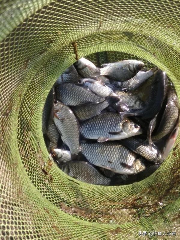 冬季出釣時，什麼天氣和什麼風向最容易出魚？淺談個人觀點