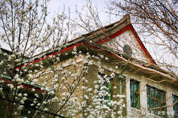 報考中文專業需要注意什麼？山東2021年中文專業投檔最全資料