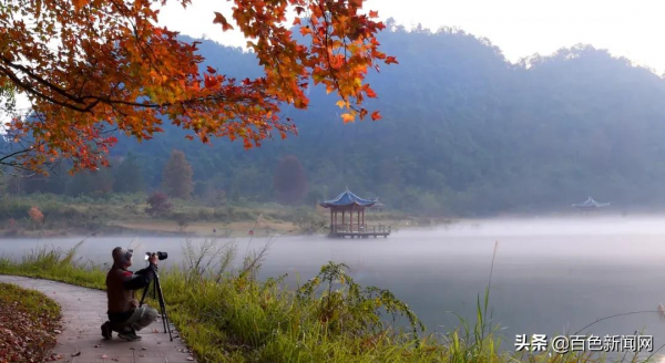 美到不捨得眨眼！來德保，邂逅黑天鵝