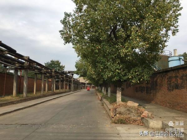 電影《你好，李煥英》和湖北化纖廠的故事