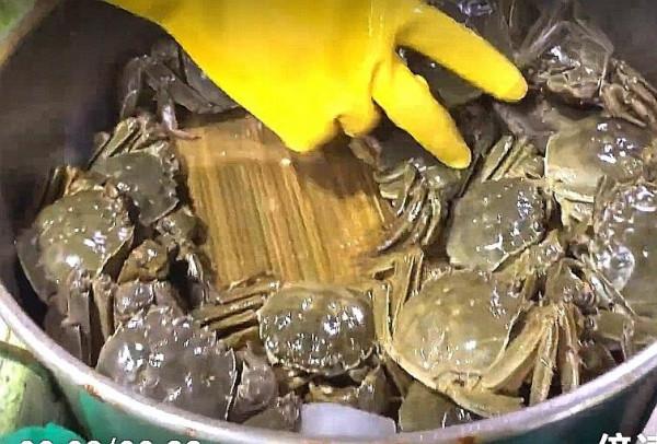“六月黃”即將下市,別急!大閘蟹就要來了…… “六月黃”即將下市,別急!大閘蟹就要來了……