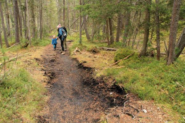 瑞士國家公園:唯一,另類,鮮為人知 瑞士國家公園:唯一,另類,鮮為人知