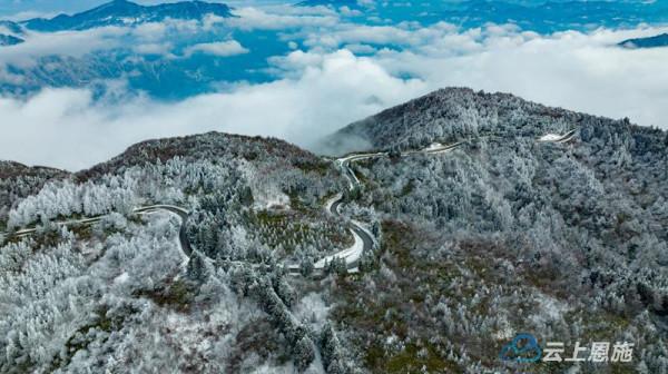 雪後綠蔥坡 雲海美景如畫
