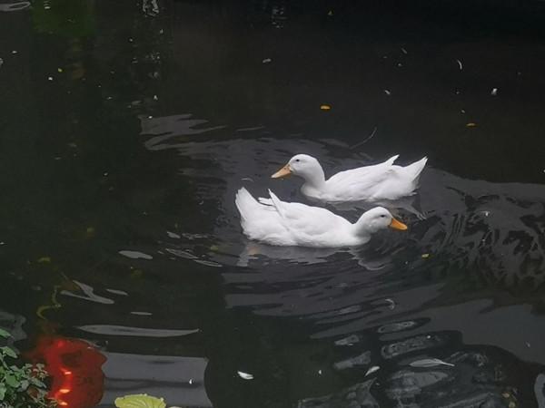 穿越廣州中軸線一日遊&mdash;&mdash;從傳統到現代