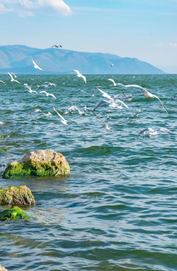 冬天適合去的10個地方，準備好去哪裡過冬了嗎？