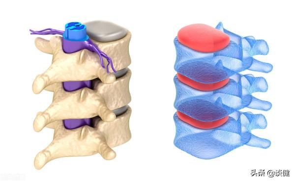 中老年人增強運動,會帶來4點益處!運動中做好3點,有助抗衰延壽 中老年人增強運動,會帶來4點益處!運動中做好3點,有助抗衰延壽