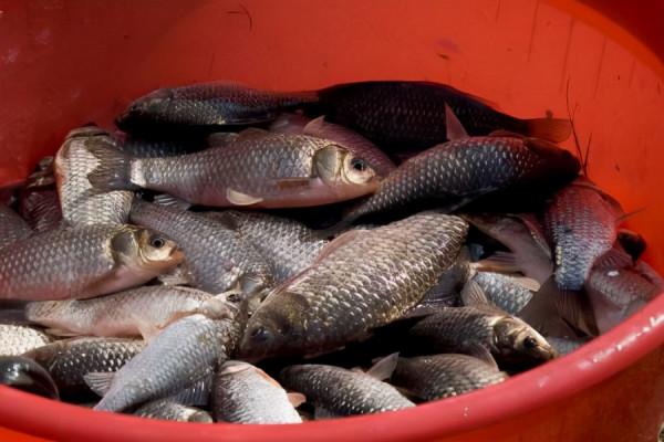 冬釣魚口輕？三個細枝末節處的改變，讓你漁獲翻番