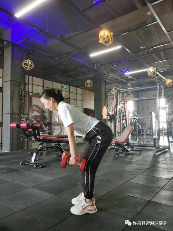 背部的訓練動作有哪些?該怎麼做 背部的訓練動作有哪些?該怎麼做