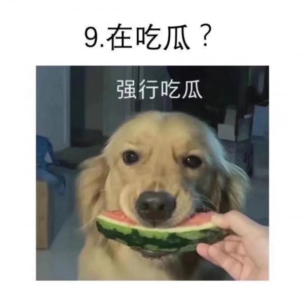 警告！2021即將結束！你打算怎麼度過2021年的最後幾天呢