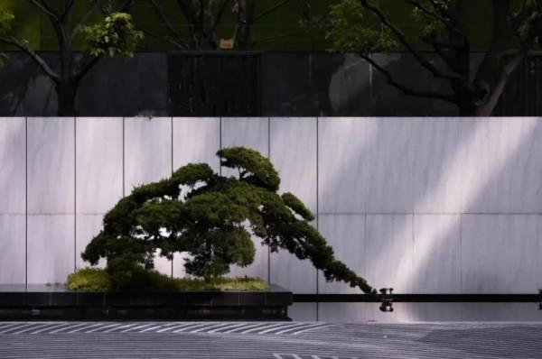 庭院中那些充滿“仙氣”的景牆長什麼樣
