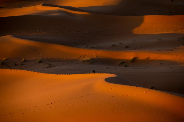 外交子弟 | 父親王雨田在非洲的故事(一) 蘇丹 外交子弟 | 父親王雨田在非洲的故事(一) 蘇丹