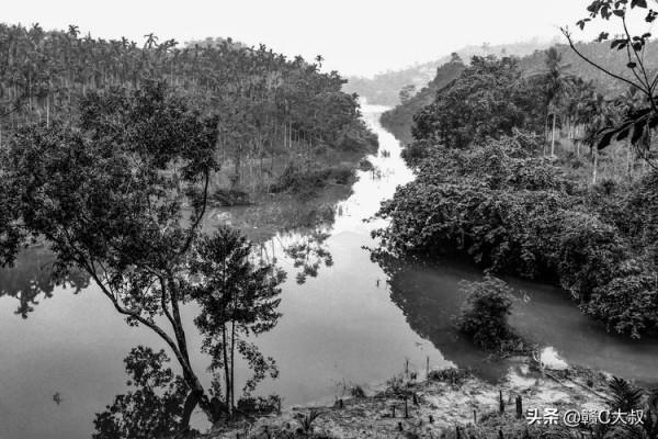 40年的記憶——海南國營乘坡農場行