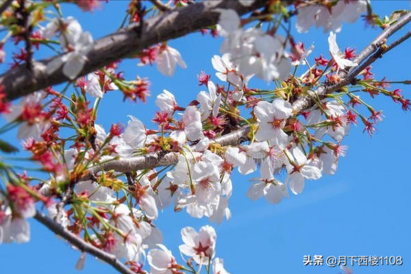 助紂為虐終有報,回顧當年常寧抗日戰爭勝利後處決八漢奸的往事 助紂為虐終有報,回顧當年常寧抗日戰爭勝利後處決八漢奸的往事