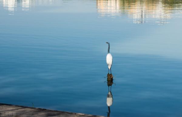 是嫉妒心作祟還是人性