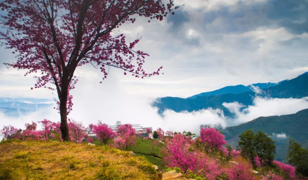 2022年，國內旅行時間表出爐，一鍵解鎖12個月的最佳旅行地