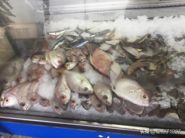 摩洛哥的海港城市——丹吉爾(圖) 摩洛哥的海港城市——丹吉爾(圖)