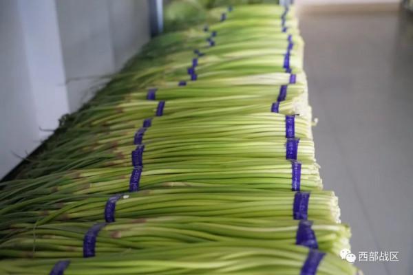 看!邊防官兵的恆溫菜窖和花樣套餐 看!邊防官兵的恆溫菜窖和花樣套餐