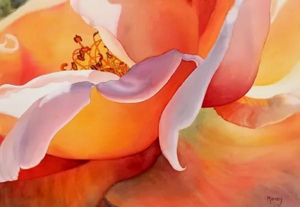 55歲拿起畫筆,成為最懂花的女人!筆下絢爛唯美的水彩花卉太美了 55歲拿起畫筆,成為最懂花的女人!筆下絢爛唯美的水彩花卉太美了