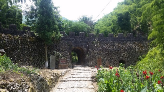 青未了｜眾裡潯她廿八都